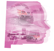 Graphic of a woman's face in profile made up of a collage of public transit vehicles